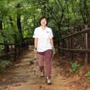 노르딕워킹 이미지