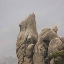 산두꺼비 Daum카페