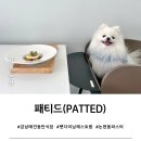 패티드(patted) 네이버블로그