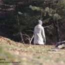 신암낚시터 | [양주 신암낚시터]낚시터에서 캠핑하기