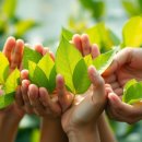 피델리티 바이오 | ESG 펀드 실제 수익률 50% 돌파 후기