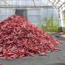 신용방앗간 이미지