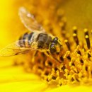 은계경희한의원 이미지