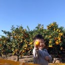 민우농장 이미지