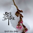 느낌표 이미지
