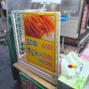 스펀지게임랜드 이미지