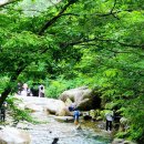 동악산 | [산행후기] 100대 명산, 곡성 동악산 feat. 청류계곡 후기 (GPX 파일 있어요)