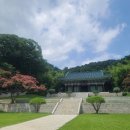 온양닭한마리 이미지