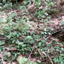 현동농장 이미지