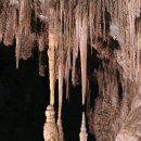 칼즈배드 이미지