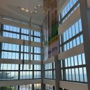 바비멀티샵 | 세부 SM Seaside 몰 후기] 팀호완 딤섬과 미니소 쇼핑까지 알차게!