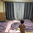 매화골향기 이미지