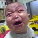 어야어야 이미지