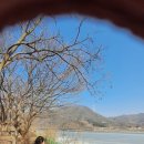 수정로120번길 이미지