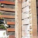 이나하우스 이미지