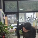 휴식물디자인샵