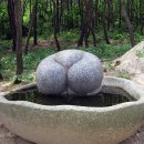 이창기농장 이미지