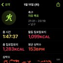 화풋살구장 이미지