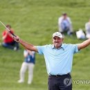 메이저 이미지