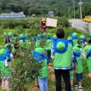 신나는강남어린이집 이미지