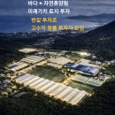 미래가치