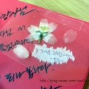 싸인발전소