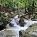 유명산캠핑장 이미지