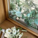 스튜디오무하