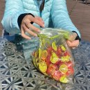 초막골 생태공원 | 군포 초막골생태공원 후기 / 수리산 대체재로 여기가 딱! / 성질드러운 거위가 사는곳🪿