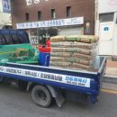 영남체육사