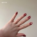 캣네일 | 가을 네일 추천｜버건디 자석젤(캣아이) 네일 후기