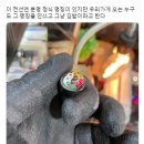 Complexive Terraweil Coil Wire 이미지