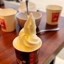 남사-11 | 용인 남사 맛집 고기싸롱 용인남사점