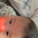 유신농장 이미지
