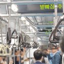 혜연농장 | [Sep-1] 찬 바람이 조금씩 불어오면 밤 하늘이 반짝이더라