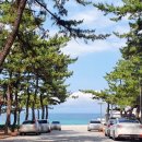 연곡해변 솔향기캠핑장 이미지