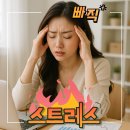 파주토지고수부동산공인중개사사무소 | 사지도 못한 토지, 실전기록