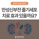 해동메디칼 | [강아지 만성신부전 1편] 줄기세포 치료로 좋아질 수 있을까요? – 울산 에스동물병원 내과센터