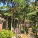 봉래산주차장 | 부산봉래산 복천사코스 최단코스 등린이추천 산행후기 화장실 주차장