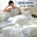 슬라운드 | 봄 차렵이불 추천 | 슬라운드 알러메디 사계절 이불 후기