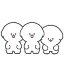 베스애견 이미지