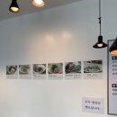 배롱개