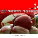 어슬렁대추정원 | 경북 안동여행 1부/연못과 정자가 아름다운 체화정(棣華亭) 【18년8월11일】