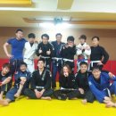 격투창고 MMA 이미지