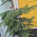 내집마련부동산중개 | 100 만족! 내 집 마련의 성공 파트너, 부동산 중개사무소 이용 A to Z 파헤치기!