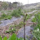 송광보건지소 이미지