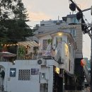 은광여자고등학교 | 강남 양재 고양이카페 캠핑고양이 양재점 내돈내산 후기