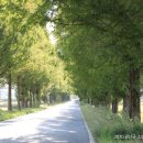 본량동행정복지센터 이미지