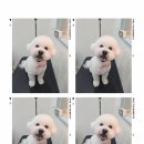 봉봉미용실 이미지