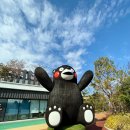 칼디, 마츠모토 키요시 시모토리점, 쿠마몬 스퀘어, 코코사 시모토리-무인양품&amp;세리아(부제 : 빡센 일정)